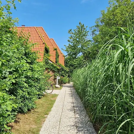 Luna-wohnung-30 *